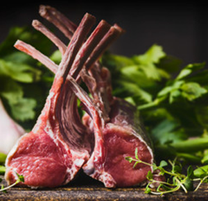 cut - Fresh local lambs Harry