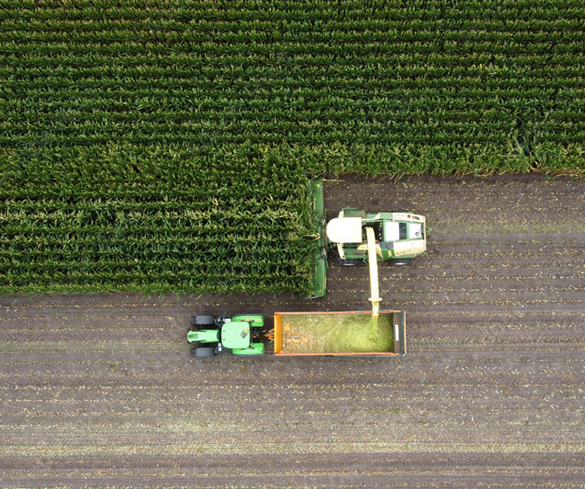 Farms-img